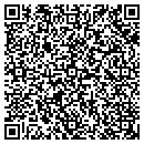 QR code with Prism Vision LLC contacts