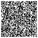 QR code with Premier Endodontics contacts