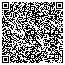 QR code with Pv Endodontics contacts