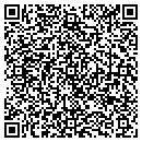 QR code with Pullman John R DDS contacts