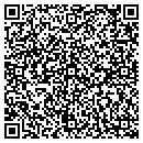 QR code with Professional Towing contacts