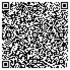 QR code with Pulmonary Clinic contacts