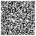 QR code with Pulmonary Practice Assoc contacts