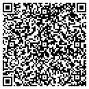 QR code with Pulse-Life contacts