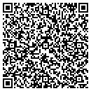 QR code with Pt First LLC contacts