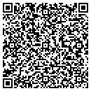QR code with Werlein Amy R contacts