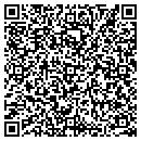 QR code with Spring Brook contacts