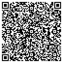 QR code with Pt Solutions contacts