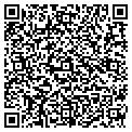 QR code with Hygeia contacts