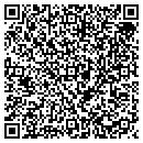 QR code with Pyramidal Rehab contacts