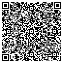 QR code with Cfo Accounting Center contacts