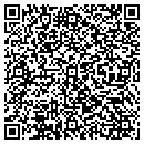 QR code with Cfo Accounting Center contacts