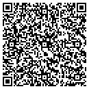 QR code with Pueblo Of Jemez contacts