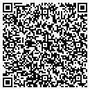 QR code with Public Works contacts
