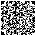 QR code with Haven contacts