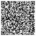 QR code with Ampr contacts