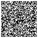 QR code with Costex Tractor Parts contacts