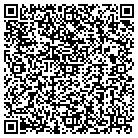 QR code with Blimpie Subs & Salads contacts