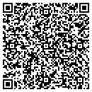 QR code with County Public Works contacts