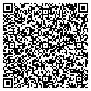 QR code with Pvs Holdings Inc contacts