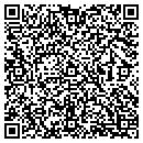 QR code with Puritan Automation LLC contacts