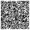 QR code with Precision Work Inc contacts