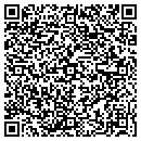 QR code with Precise Diamonds contacts