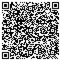QR code with Stfd contacts