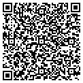 QR code with Nycoil contacts