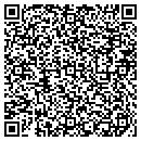 QR code with Precision Tooling LLC contacts