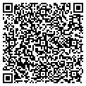 QR code with Filter contacts