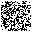 QR code with Pulsonics Inc contacts