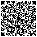 QR code with Professional Ashpalt contacts