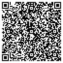 QR code with Precision Action CO contacts