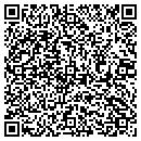 QR code with Pristine Air & Water contacts