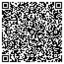 QR code with Pyrodynamics Inc contacts