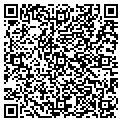 QR code with Antics contacts