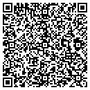 QR code with Precise Geosystems Inc contacts