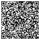 QR code with Process Dynamics Inc contacts