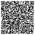 QR code with Seltek contacts