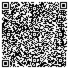 QR code with Babish Material Handling Systems contacts