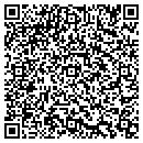 QR code with Blue Moose Elevators contacts