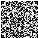 QR code with Purimetrics contacts