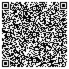 QR code with Professional Aerials Inc contacts