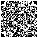 QR code with Chameleon Solutions contacts
