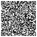 QR code with Precision Tech Service contacts