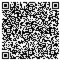 QR code with Wilson contacts
