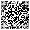 QR code with Wilson contacts