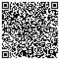 QR code with Wilson contacts