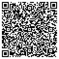 QR code with Wilson contacts